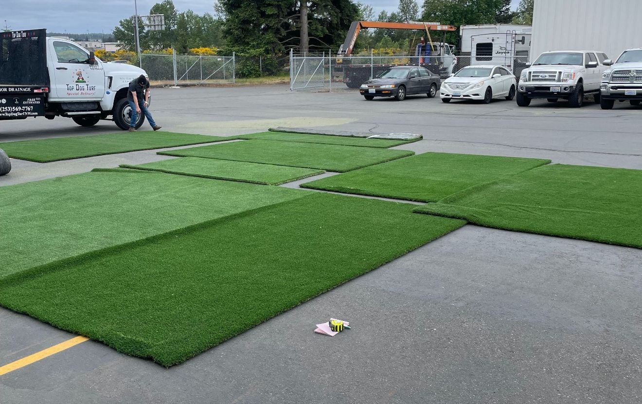 Used Synthetic Turf fifty Cents PSF 