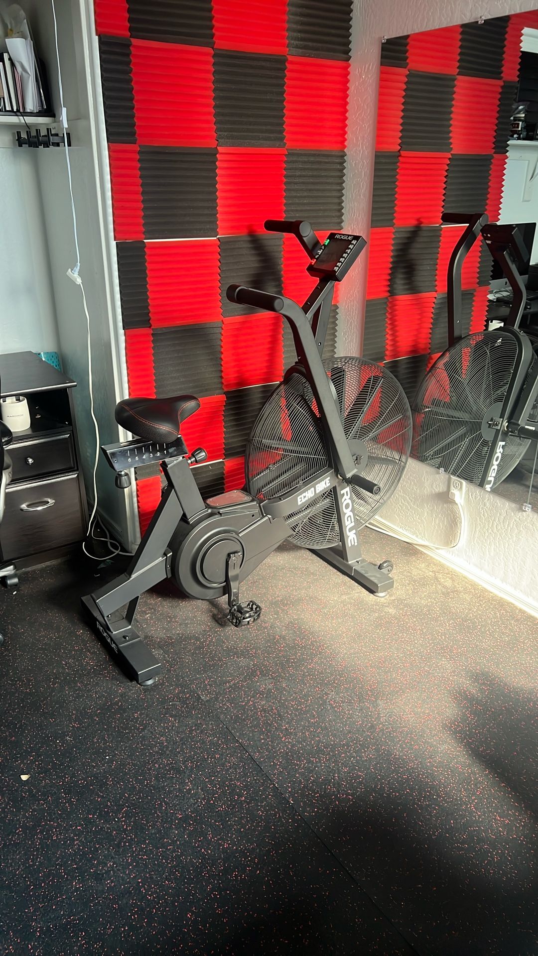 Echo Bike Rogue (fan Bike)