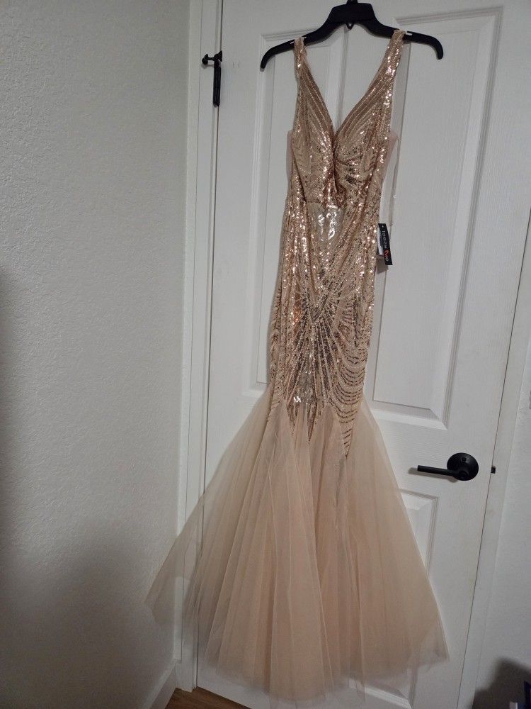 Party/Prom Dress 