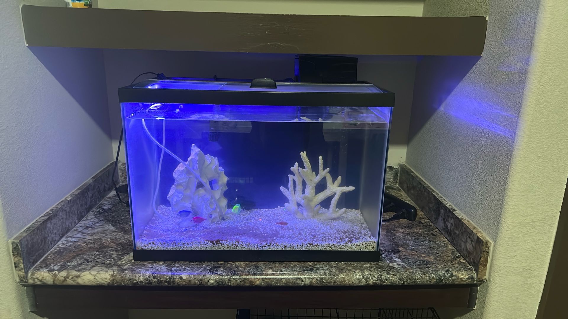 Fish Tank