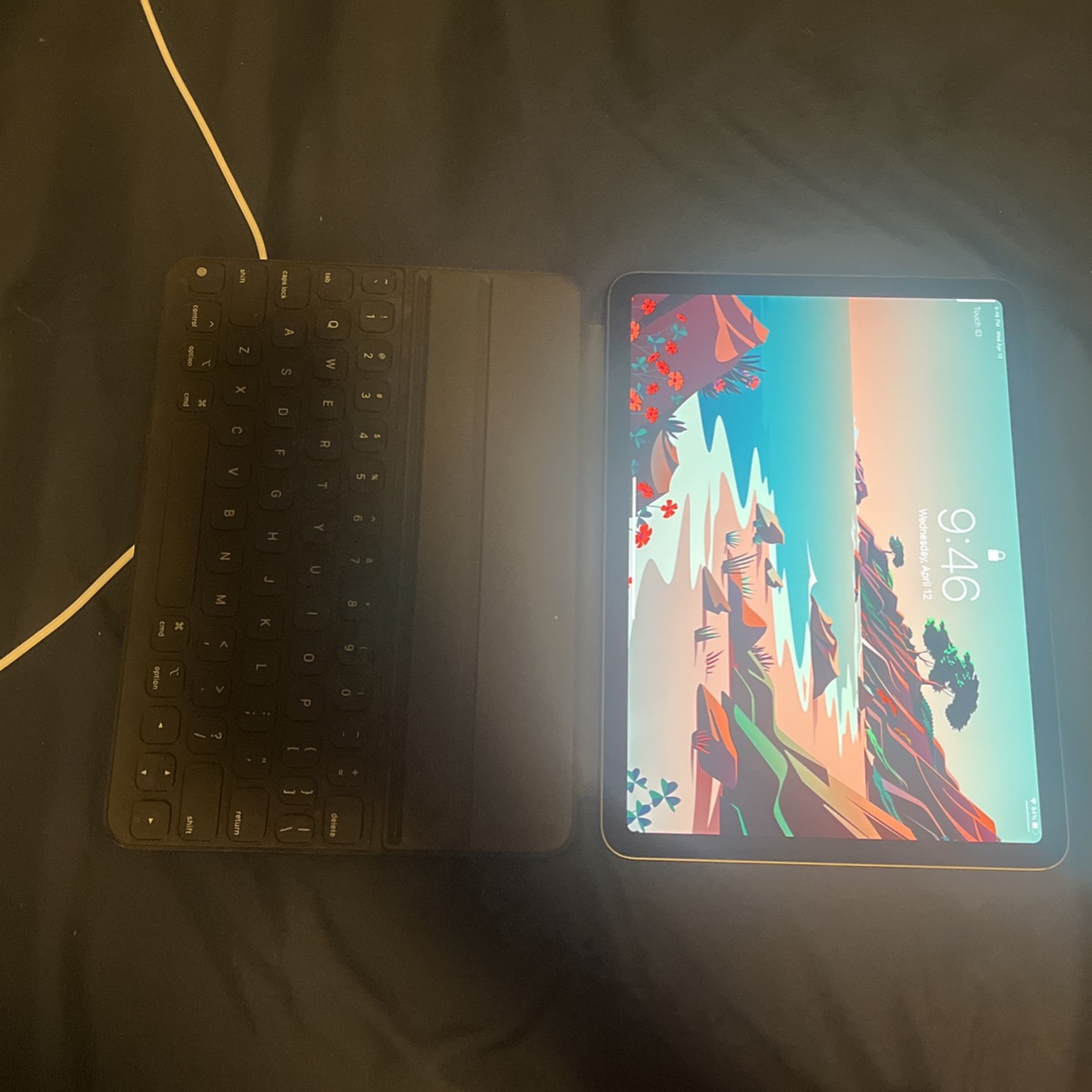 iPad Air (brand New)