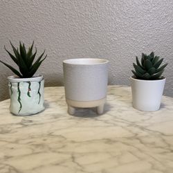 2 Interchangeable Mini Faux Plants With A Mini Planter