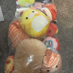 New Squishmallows