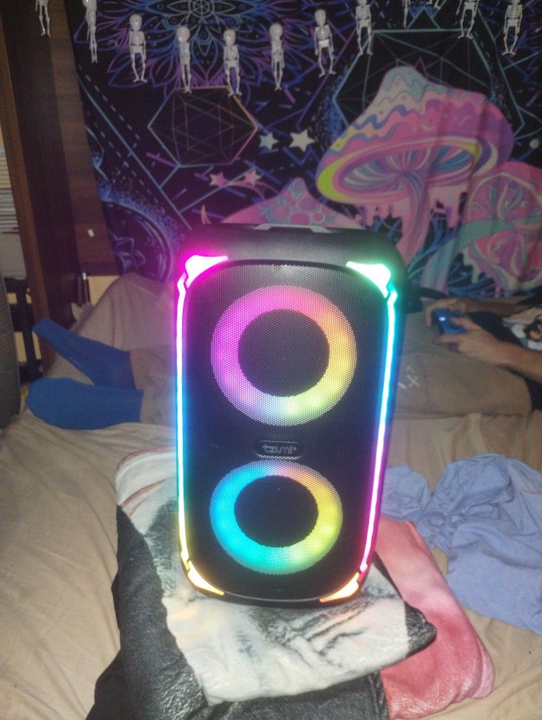 Karaoke Machine/Job site Speaker 