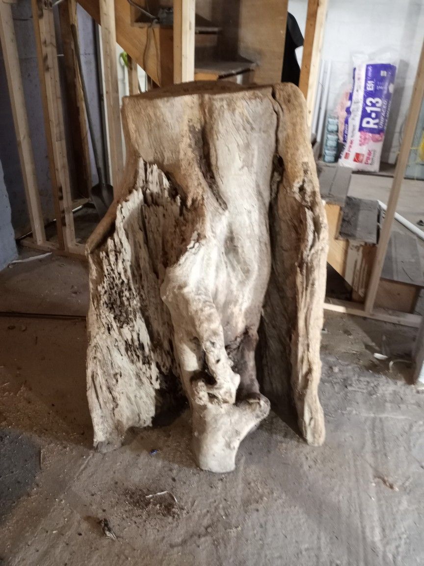 Drift Wood
