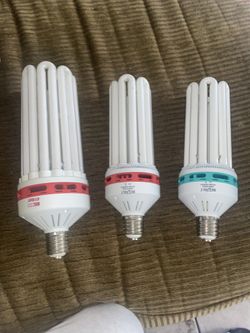 150 Watt & 250 Watt Flowering/ 150 Watt For Veg/cloning 