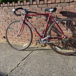 SCHWINN Road Bike Frame 22