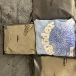 Spider And Essentials