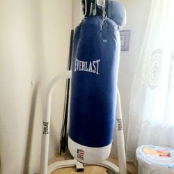 Everlast Punching Bag, Stand, and Gloves