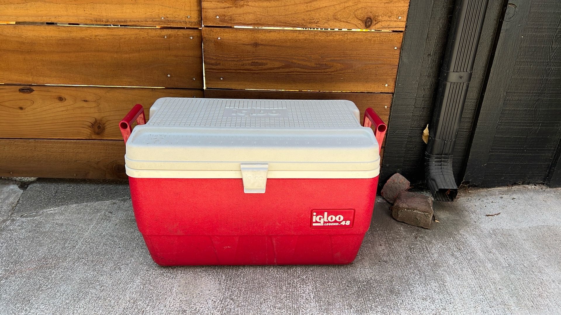 Igloo Cooler