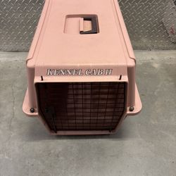 Small Dog Or Cat Carries 