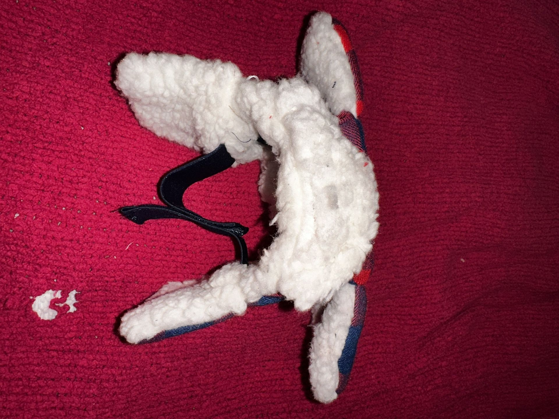 Small Dog Hat