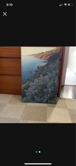 Print on Canvas, Big Sur Artist