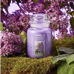 Yankee Candle Bundle For $30