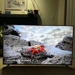 55” 4K QLED Smart TV 