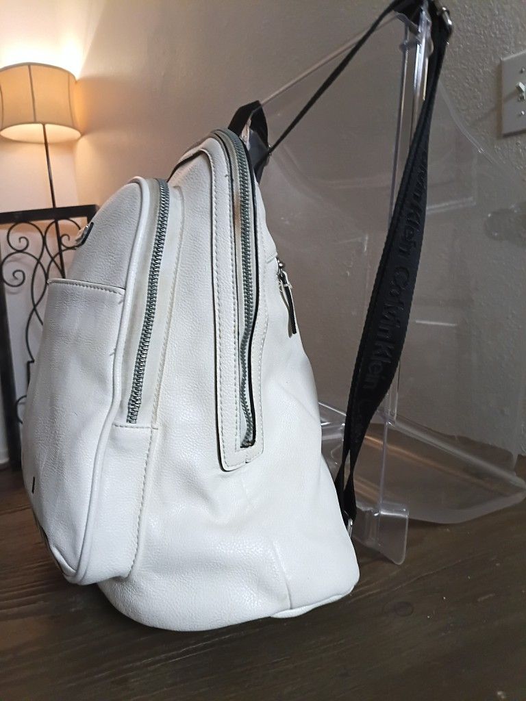 Backpack/Purse