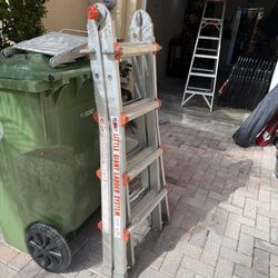 Ladder Little Giant 