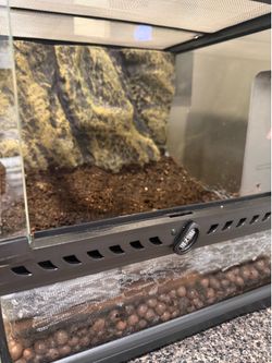 Exo Terra Glass Terrarium Kit 12x12x12" Glass Tank