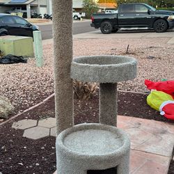 Cat Tree