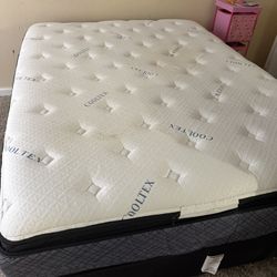 Free Mattress