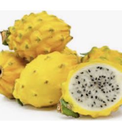Yellow Dragon Fruit (Palora)