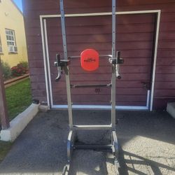 Power Towr Pull Up Bar Station Workout