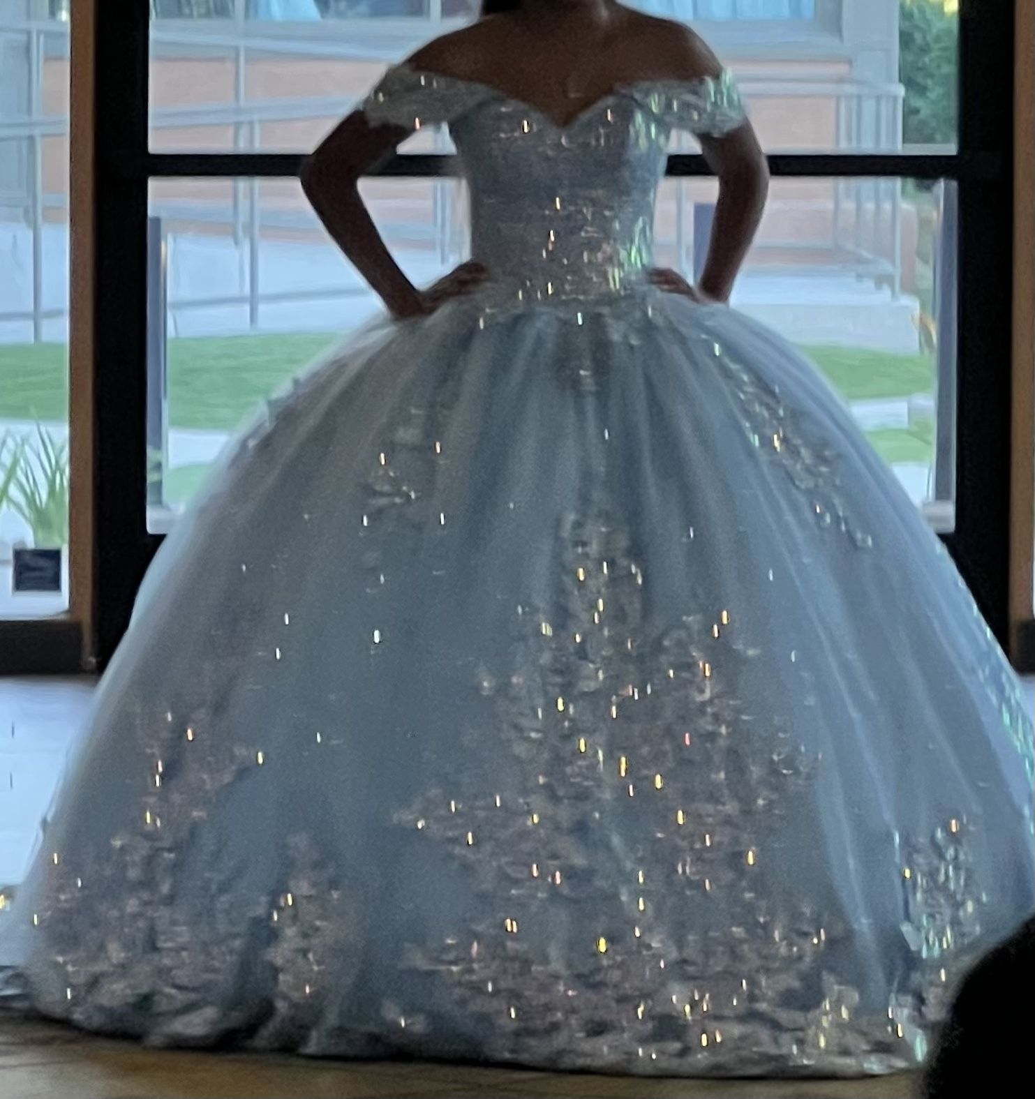 princess polly baby blue dress Rachel Allan RQ2216 Ball Gown Glitter Long Floral Quinceanera Dress – The  Dress Outlet main image 0