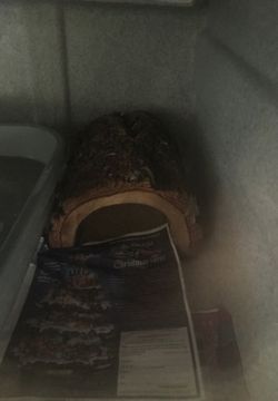 Snake accessories hook and two hides