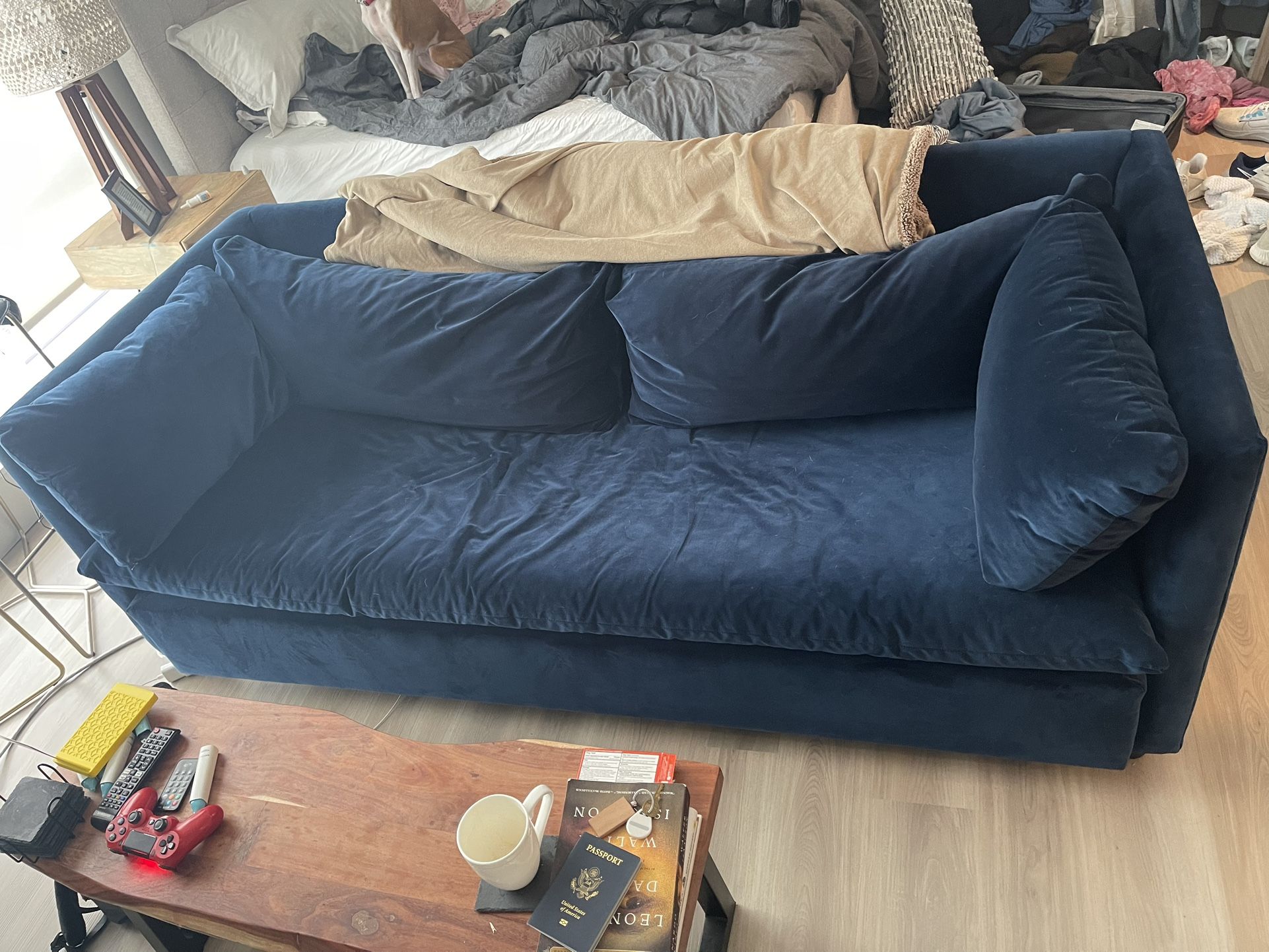 West Elm Shelter Queen Sleeper Sofa