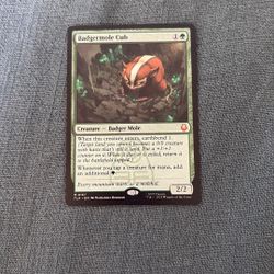 Magic The Gathering Badgermole Cub Avatar The Last Airbender