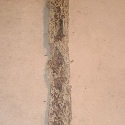 Large ornate wormwood