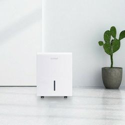 Clevast In Home DEHUMIDIFIER takes Moisture Out Of The Air