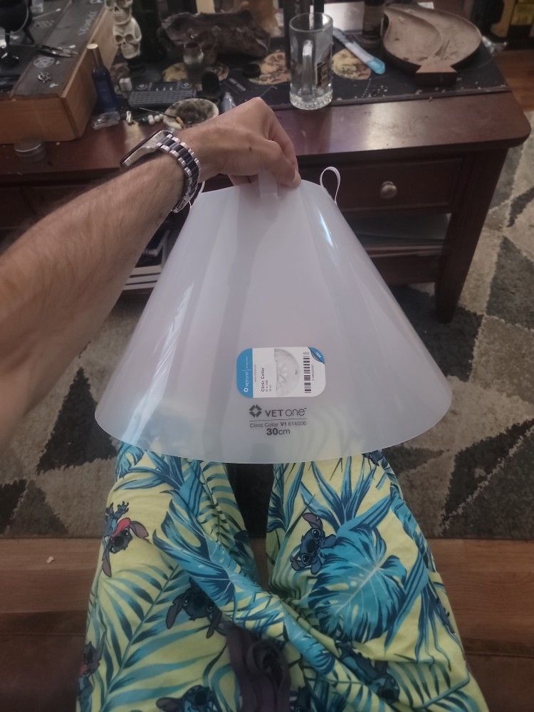 Cone Of Shame
