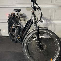 RADROVER PLUS E BIKE 6 PLUS