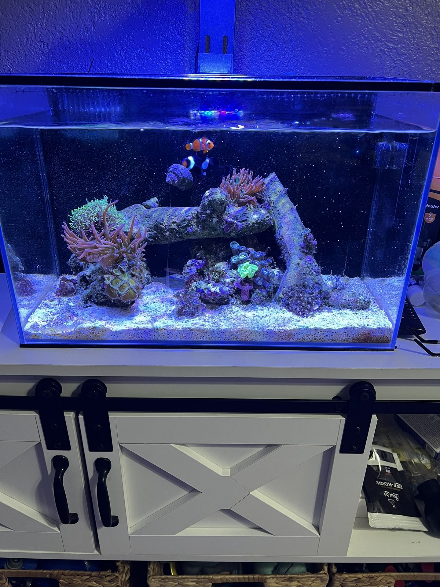 Complete Reef System