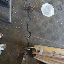 Curl Bar 
