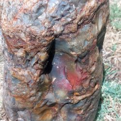 40 Pound Colorful Rough Agate