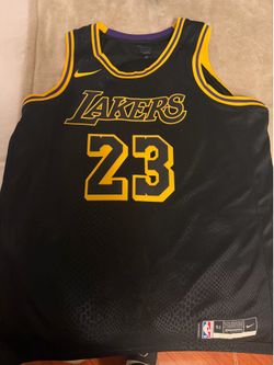 LeBron jersey