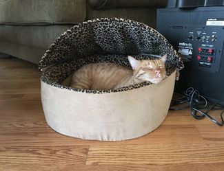 NEW Heated Cat Bed, Indoor Heated Pet Bed, Covered Cave Pet Tent, Heated Dog Bed !
