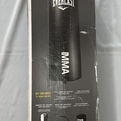 Everlast 70-lb. Everstrike Heavy Bag Kit