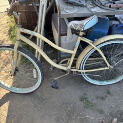 Beach Cruisers 
