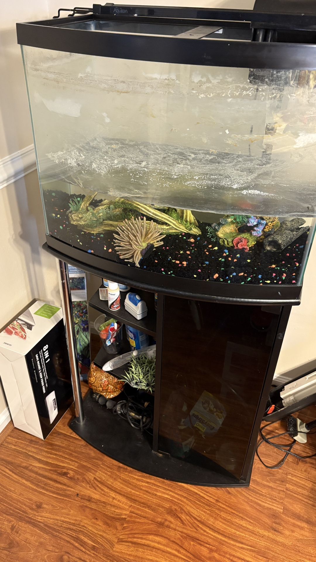 35 Gallon Bow Front Fish Tank With Accessories