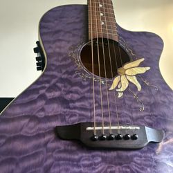 acoustic electric guitar