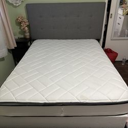 Full Size Bed, With Frame, Box Spring Mattress 