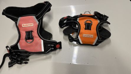 Dog Harnesses And Cable Thingy