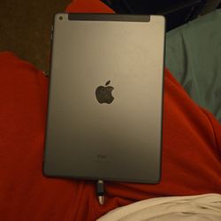 ipad 7th Gen 