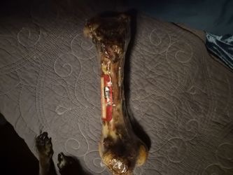 Dog Meat bones for full grown adult dogs