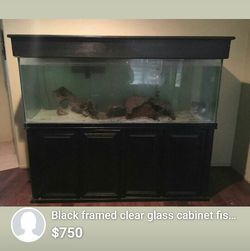 200 gallon fish tank on sale