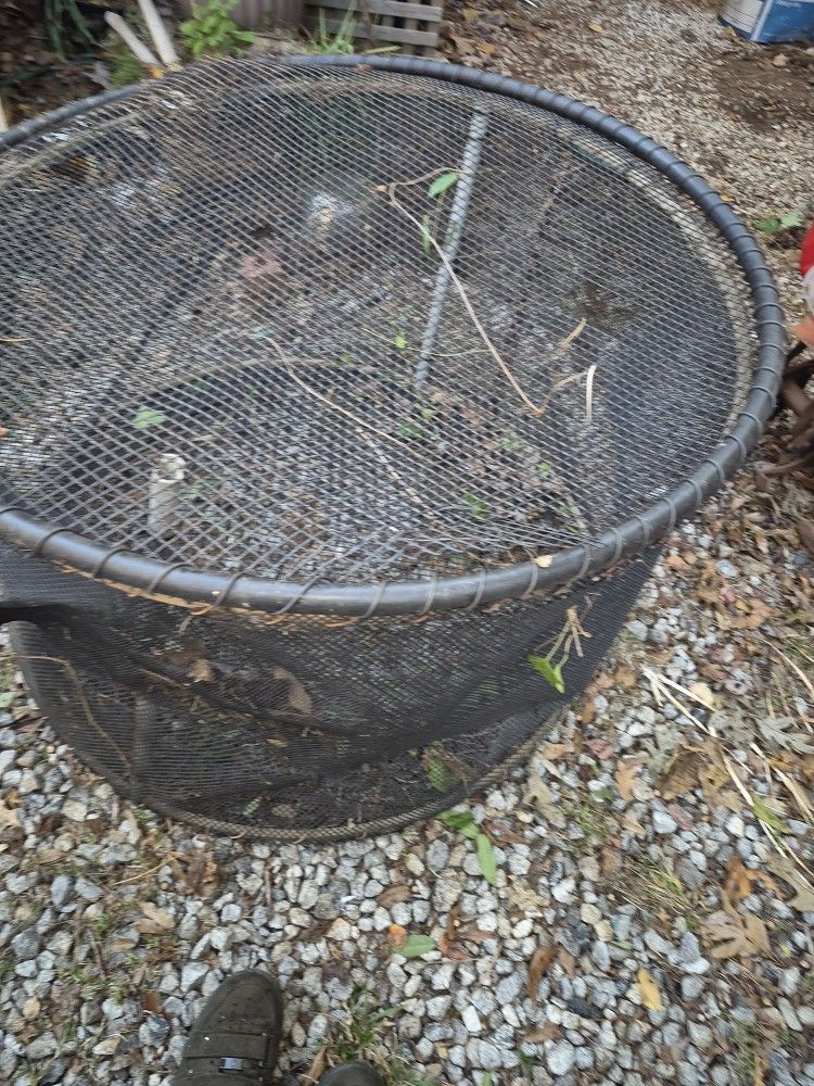 Fish Hatcher. Criadero De peces