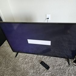 42" Vision TV